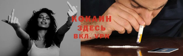 прущие крисы Алзамай