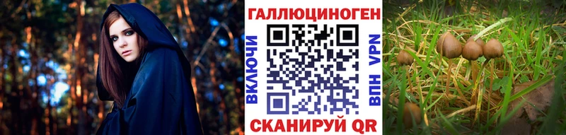 Галлюциногенные грибы ЛСД  Жирновск 